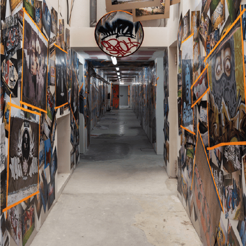 Open-Air-Gallery-LionesaBH-corredores-tecicos-street-art-lionesa