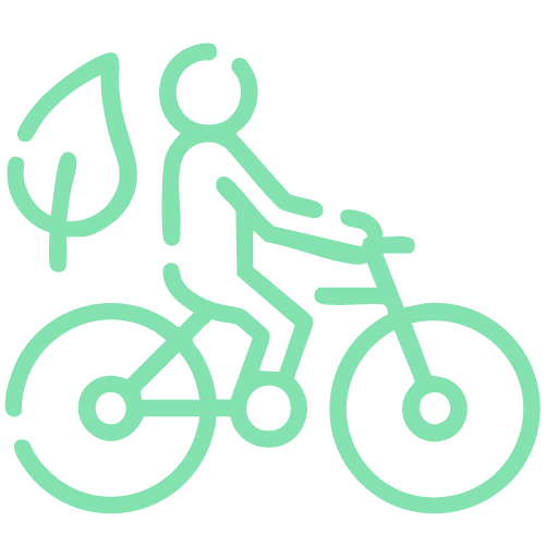 Icon-Leixoes-eletric-bicycle