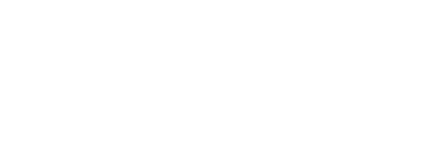 lionesa-white